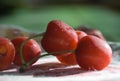 Fresh Chilled Cherries Royalty Free Stock Photo