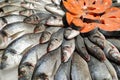 Fresh chilled fish and fillet at seafood supermarket counter. Different kinds of the fish and seafoods.