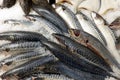 Fresh chilled scombers lies on the ice in shop front in sea food store top view closeup Royalty Free Stock Photo