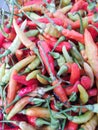 Fresh chilli or cabe rawit or cabai rawit from the traditional market