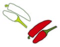 Fresh chilli pepper, illustration, vector