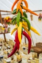Fresh chillies on the market Royalty Free Stock Photo