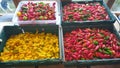 Fresh chillies Royalty Free Stock Photo