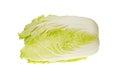 Fresh chinese cabbage