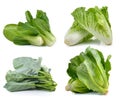 Fresh chinese cabbage ,Bok choy, cos , chinese broccoli on white Royalty Free Stock Photo