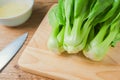 Fresh Chinese cabbage or Bok Choy vegetable Royalty Free Stock Photo