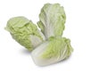 Fresh Chinese cabbage isolated on with background with clipping path Royalty Free Stock Photo