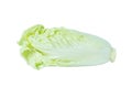 Fresh chinese cabbage isolated on a white background with clipping path Royalty Free Stock Photo