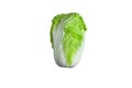 Fresh chinese cabbage isolated on a white background.