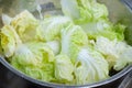 Fresh Chinese cabbage water cleaning in basin Royalty Free Stock Photo