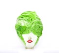 Fresh chinese cabbage which look like human head on a white bac Royalty Free Stock Photo