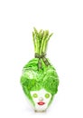 Fresh chinese cabbage which look like human head on a white bac Royalty Free Stock Photo