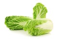 Fresh chinese cabbage