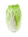 Fresh chinese cabbage on a white background Royalty Free Stock Photo