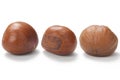 fresh Chinese chestnut