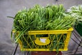 Fresh chinese green grass on the street