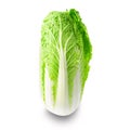 Fresh chinese napa cabbage isolated on white background Royalty Free Stock Photo