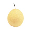 fresh chinese pear isolated on white background Royalty Free Stock Photo