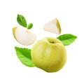 Fresh Chinese pear and Sliced isolated on white background with clipping path Royalty Free Stock Photo