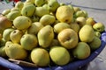 Fresh chinese pears in the basket Royalty Free Stock Photo