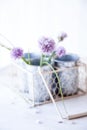 Fresh chive blossoms in a vase