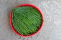 Fresh chive. Chopped chives in red bowl. Fresh green edible herb of Allium schoenoprasum.