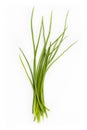 Fresh chives bunch Royalty Free Stock Photo