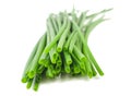 Fresh Chives bunch Royalty Free Stock Photo