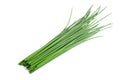 Fresh Chives bunch Royalty Free Stock Photo