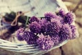 Fresh chives flower