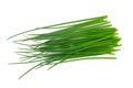 Fresh Chives bunch Royalty Free Stock Photo