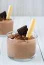 Fresh chocolate mousse and wafer Royalty Free Stock Photo