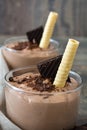 Fresh chocolate mousse Royalty Free Stock Photo