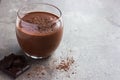 Fresh chocolate smoothie in glass Royalty Free Stock Photo