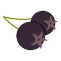 Fresh chokeberry or aronia berry icon