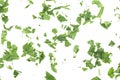 Fresh chopped green parsley leaves isolated on white background, top view. Fresh herbs