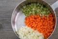 Fresh chopped onions, carrots and celery in a stainless steel pan, ingredients for sauteed Royalty Free Stock Photo