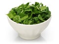 Fresh chopped spinach in white bowl isolated