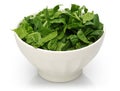 Fresh chopped spinach in white bowl isolated Royalty Free Stock Photo