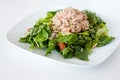 Fresh chopped tuna salad Royalty Free Stock Photo