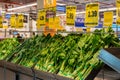 Fresh Choy Sum at Econsave Kampar, Perak