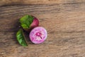 Fresh Chrysophyllum cainito fruits on wood background