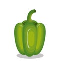 Fresh cidra vegetable icon