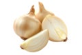 Fresh cipollini onions isolated on white background Royalty Free Stock Photo