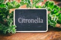 Fresh citronella leaves on wooden background