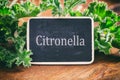 Fresh citronella leaves on wooden background Royalty Free Stock Photo