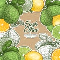 Fresh citrus design template. Engraved style illustration. Organic fruit frame. Vector illustration