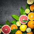 Fresh citrus fruit assortment on black. Royalty Free Stock Photo