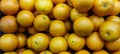 fresh citrus fruit in the market after harvest