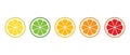 Fresh citrus fruit vector icons set. Citrus slices set: lemon, orange, lime, grapefruit and mandarin Royalty Free Stock Photo